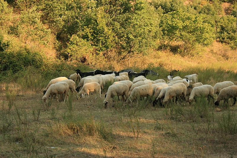 Bulgaria 2008 1050